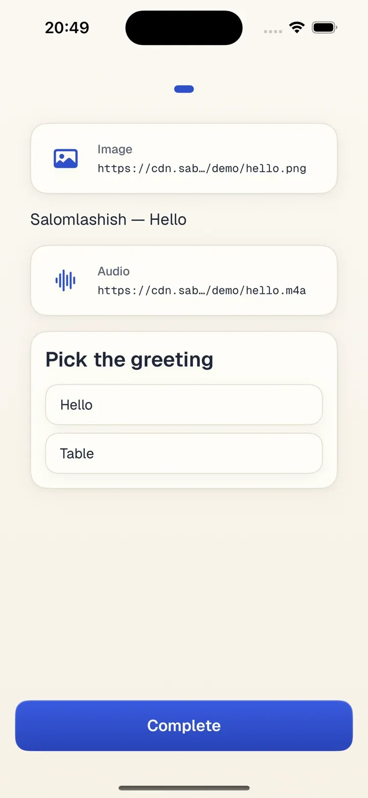 Lesson screen with slides and media